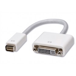 ADAPTATEUR MINI DVI VERS DVI Réf   0301038