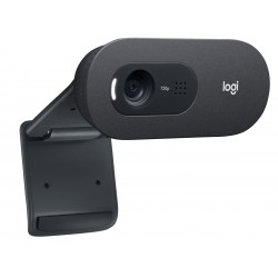 Webcam LOGITECH C505e HD Business Ref   960-001372.