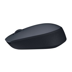 Souris LOGITECH S.fil M170 GRISE Ref   910-004642.