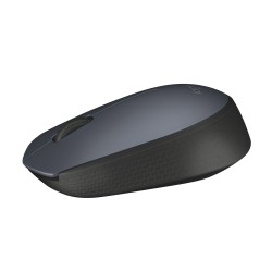 Souris LOGITECH S.fil M170 GRISE Ref   910-004642.