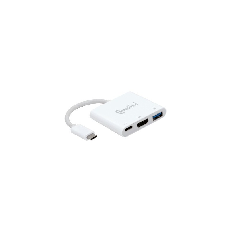 adaptateur-usb-type-c-31-vers-usb-type-c-femelle