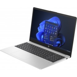 HP 250 G10 Intel Core i5-1334U 15.6p FHD 16Go 256Go SSD Intel UHD Graphics W11H Silver 1 1 0
