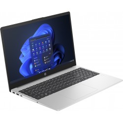 HP 250 G10 Intel Core i5-1334U 15.6p FHD 16Go 256Go SSD Intel UHD Graphics W11H Silver 1 1 0