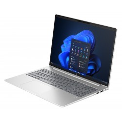 HP ProBook 4 G1a AMD Ryzen 7 250 16p WUXGA 32Go 1To SSD UMA W11P